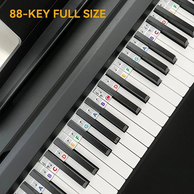 Removable Piano Keyboard Note Labels🎹