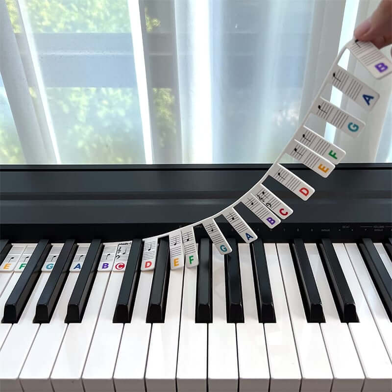 Removable Piano Keyboard Note Labels🎹