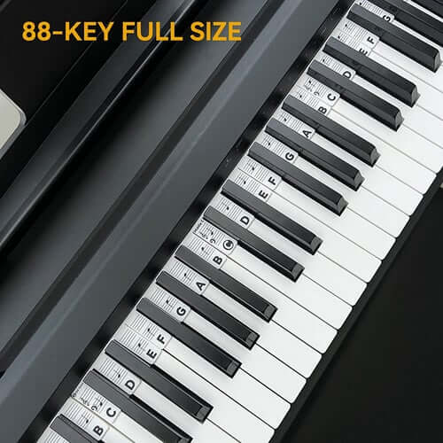 Removable Piano Keyboard Note Labels🎹