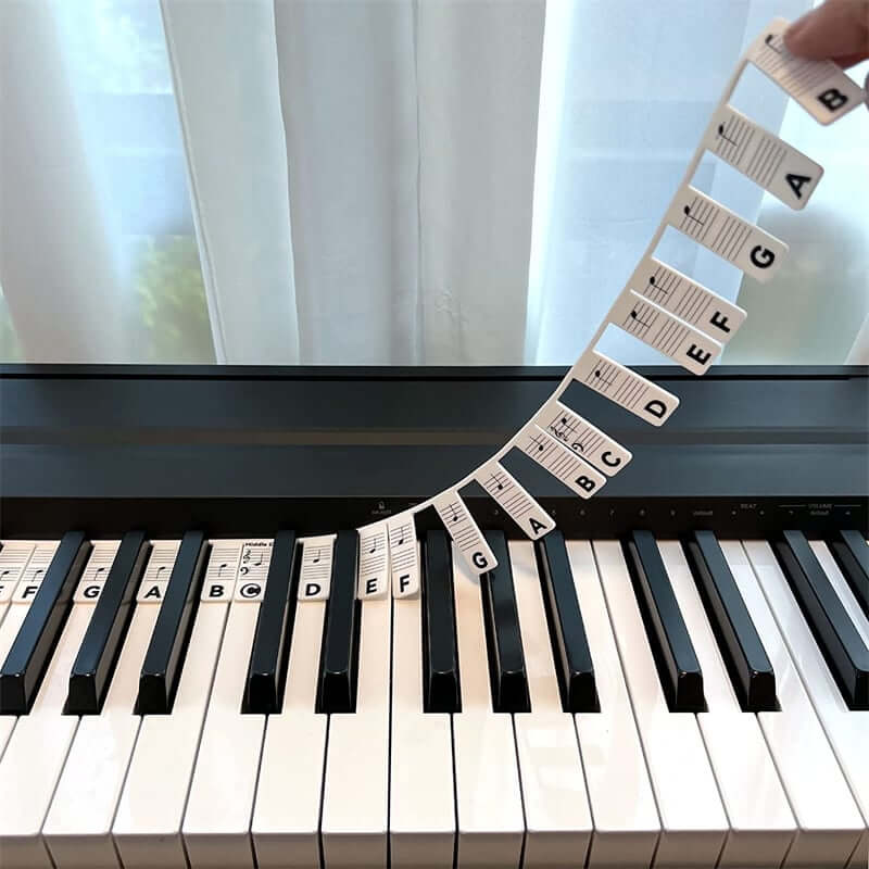 Removable Piano Keyboard Note Labels🎹